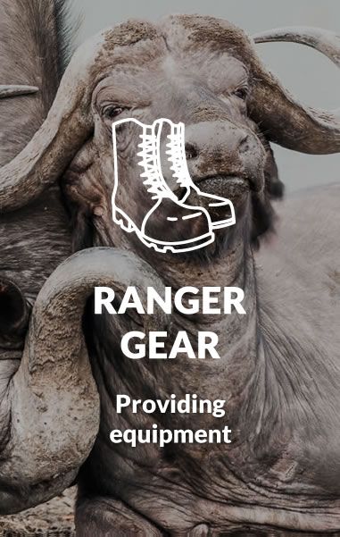 ranger gear